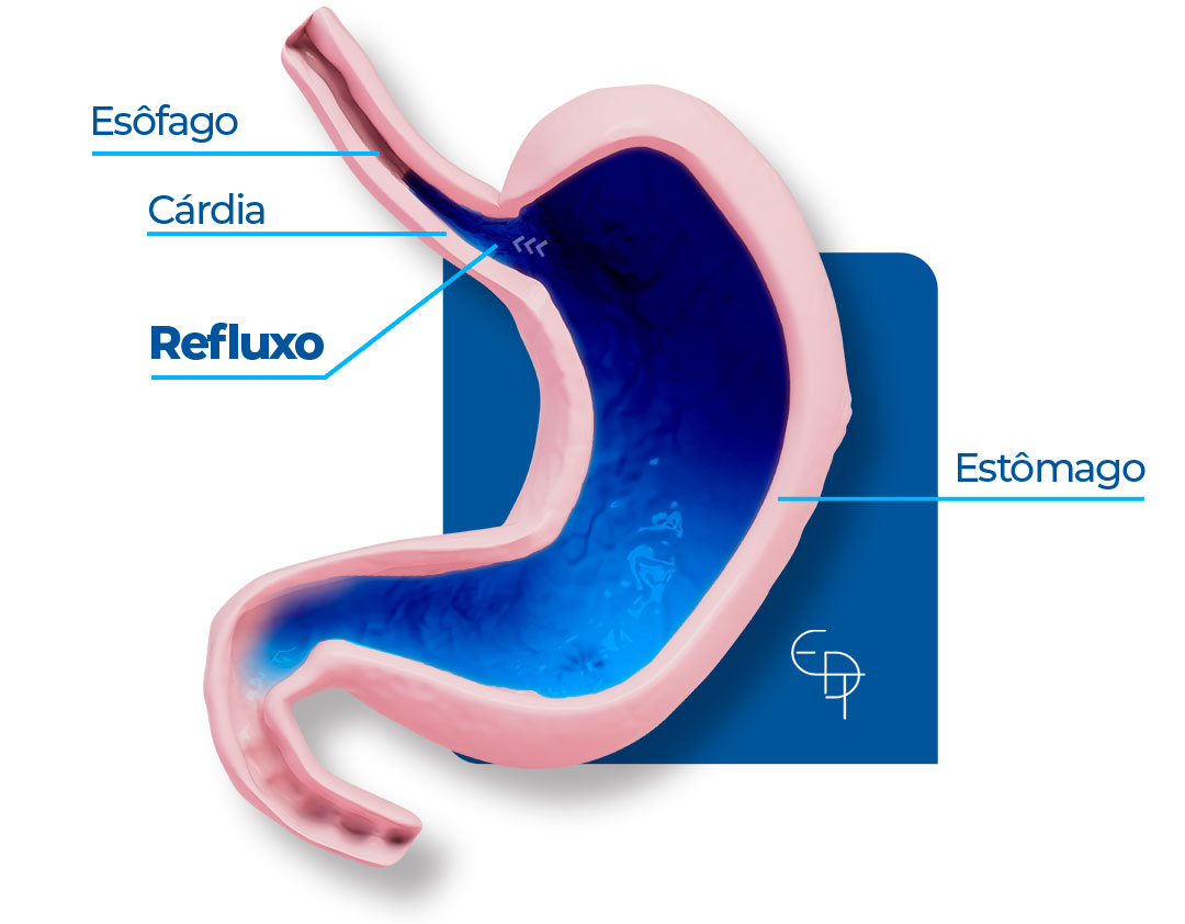 Cl Nica Edt Servi Os De Endoscopia Diagn Stica E Terap Utica